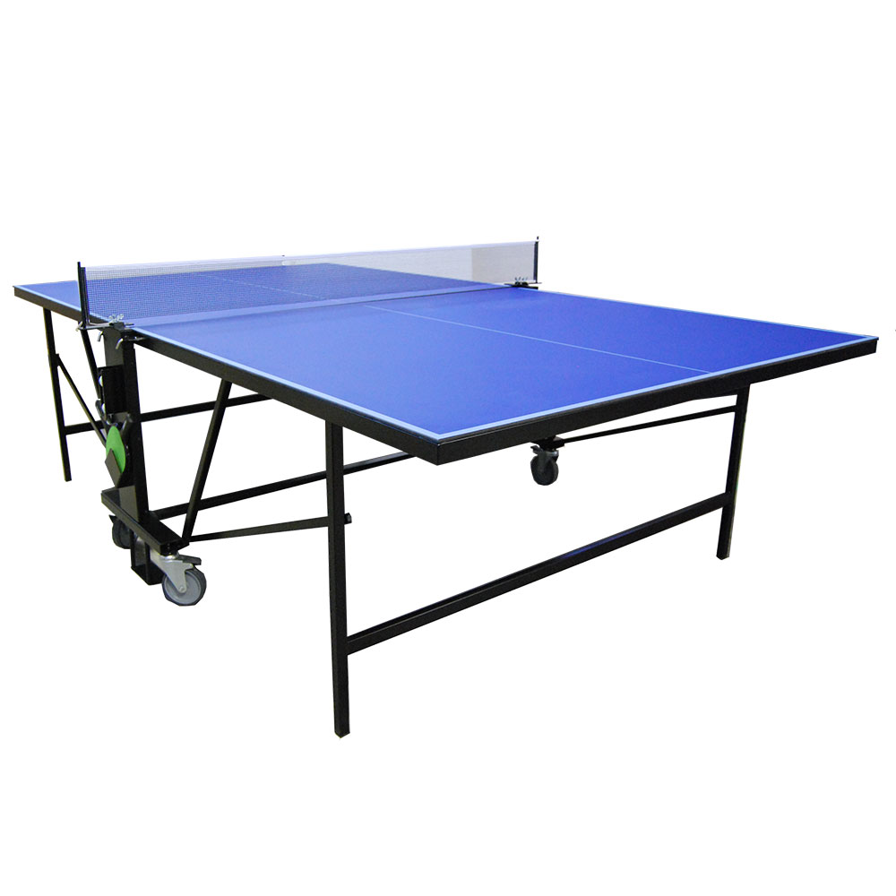 Ping Pong Lion Outdoor