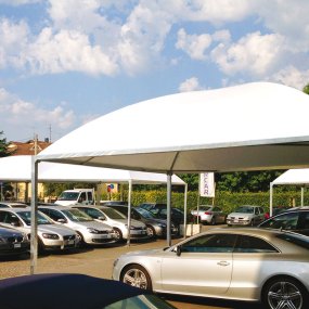 cicogna minimax copertura auto